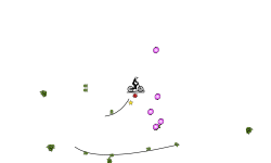 loop auto