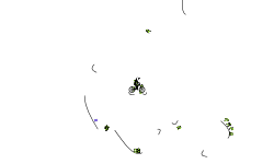 scrub auto