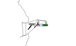 Cannon