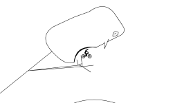Don't get eaten (adventure)