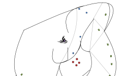 Blob Fall