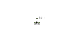 brubrubrubru