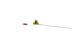 the tricky loops