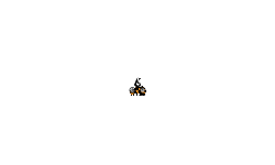 heli hold up