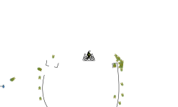 Test auto (May not work)