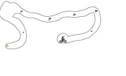 Fun Trial