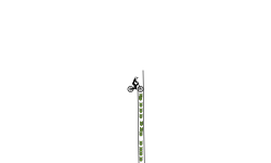 trial 1 try & fail