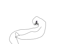Blob Choice