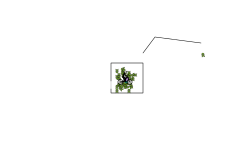 lag warnig