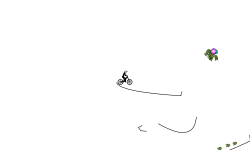 flips and tricks