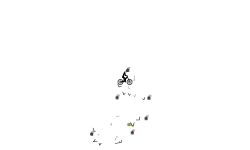 Bomb