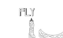 FLY
