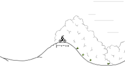 The Hills