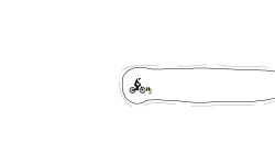Hold up ,wheelie!