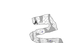 Caves NTBF