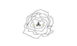 READ DESCRIPTION
