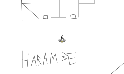 Harambe tribute