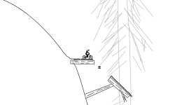 A WALK IN THE FOREST