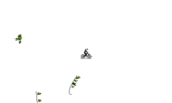 fun auto