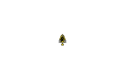 2000 in 1 star