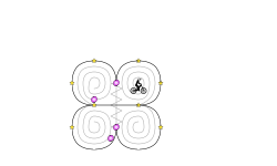 Loops