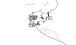 Mountain Collab