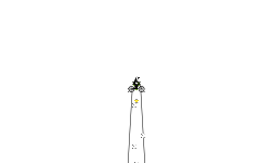 long bike