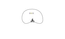 circal trial #9