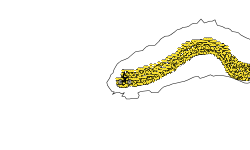 the yellow brick rode