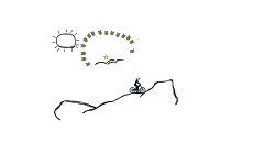 Desert