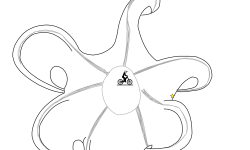 Octopus