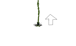 Off of your screen
