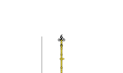 long drop