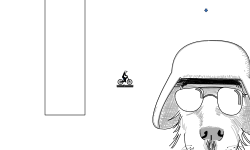 (DESC)