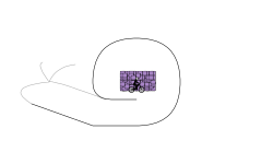 i need help read dsc.