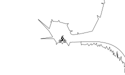 flying down the mount