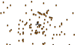 find the star