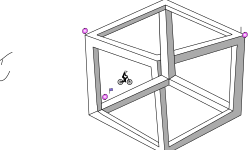 Illusion
