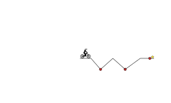 BMX trail