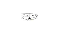bowl of fish