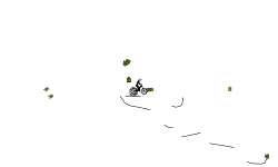 quick auto