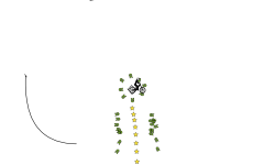Auto + Hill climb challenge