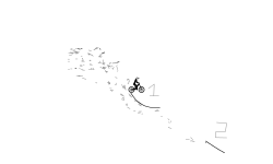 11 flips Wheelie