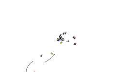 Bomb dodger (auto)