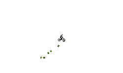 Do Not Move # 13 BMX