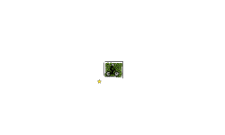 little box escape (glitchy)