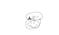 Pro tracka