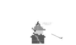 pnguy