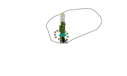 the death circle