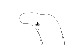 ***Cool Rope/Lines Race***